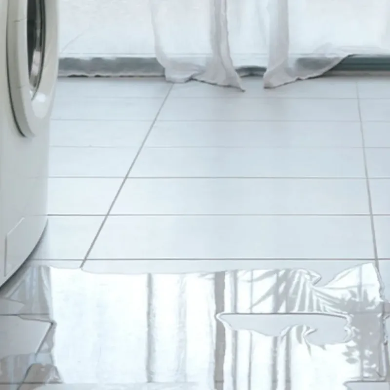 Appliance Leak Cleanup in North Chicago, IL