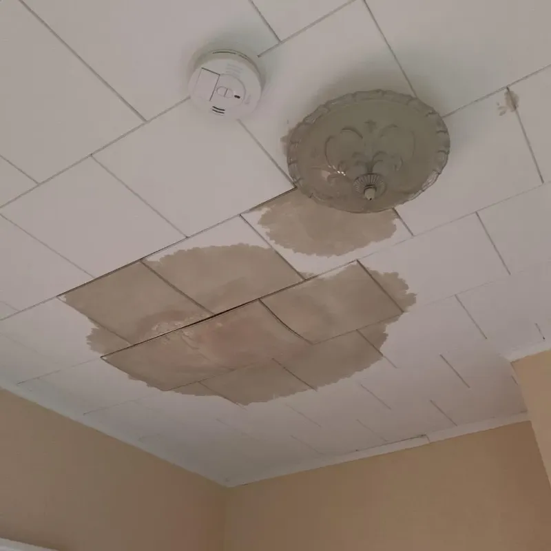 Ceiling Water Damage Repair in North Chicago, IL