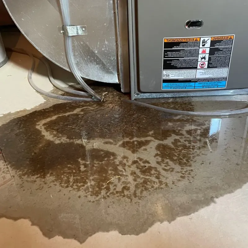 Pipe Burst and Leak Restoration in North Chicago, IL