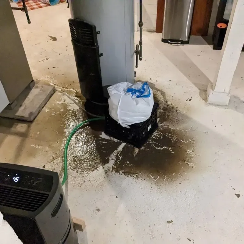 Sewage Backup Cleanup Service in North Chicago, IL